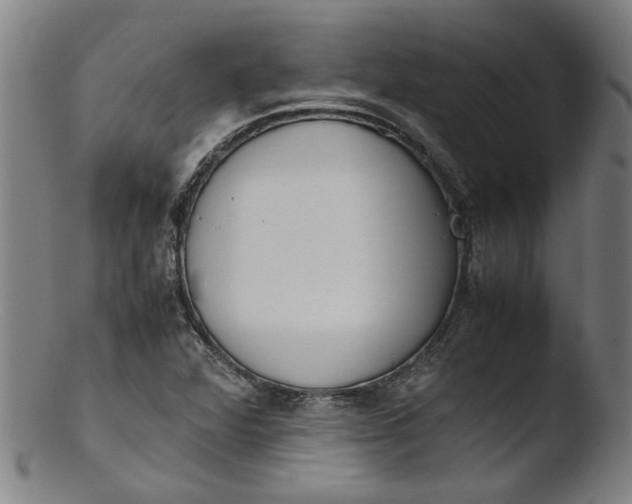 X0000103431360200809261720