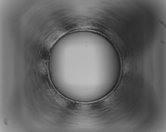 X0000103431361200809261720