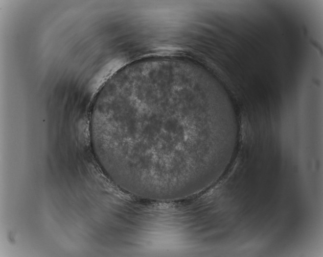 X0000103431362200809261720