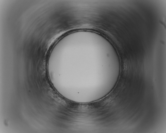 X0000103431364200809261720