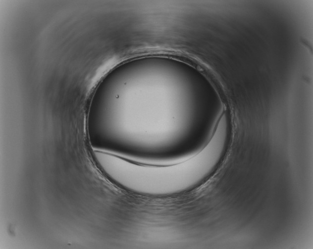 X0000103431365200809261720