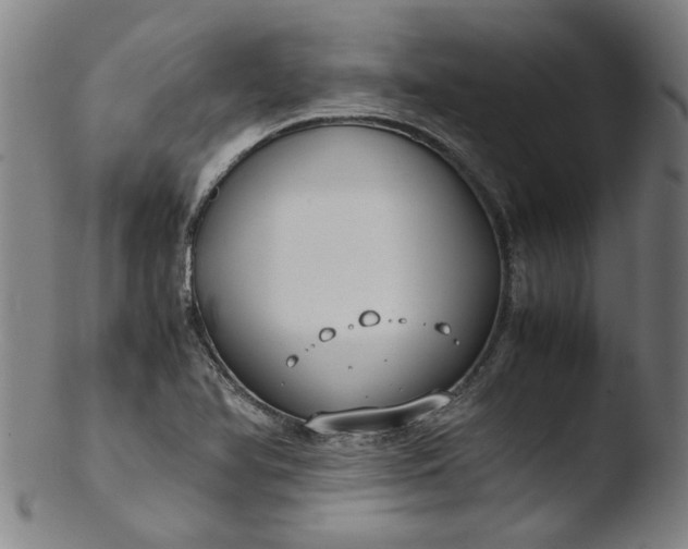 X0000103431366200809261720