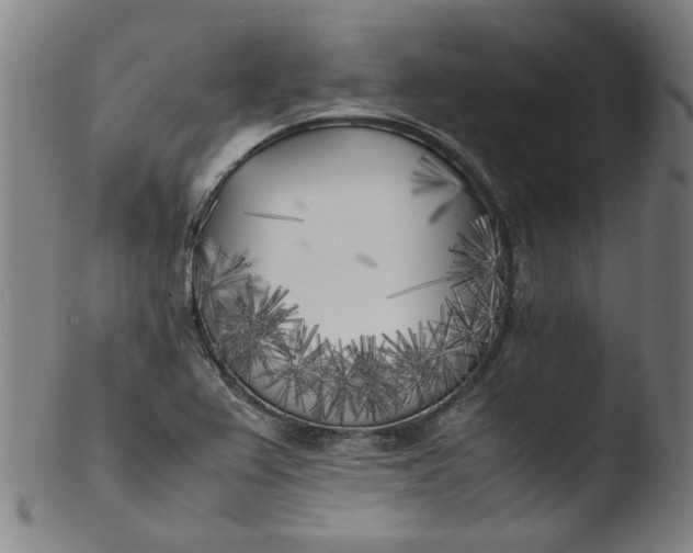 X0000103431367200809261720