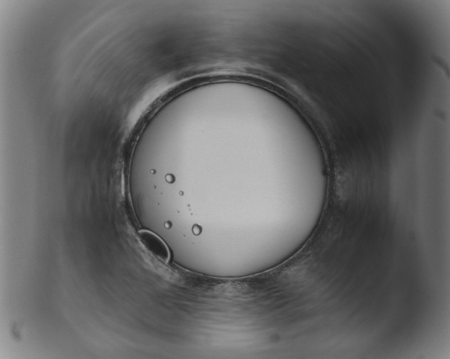 X0000103431368200809261720