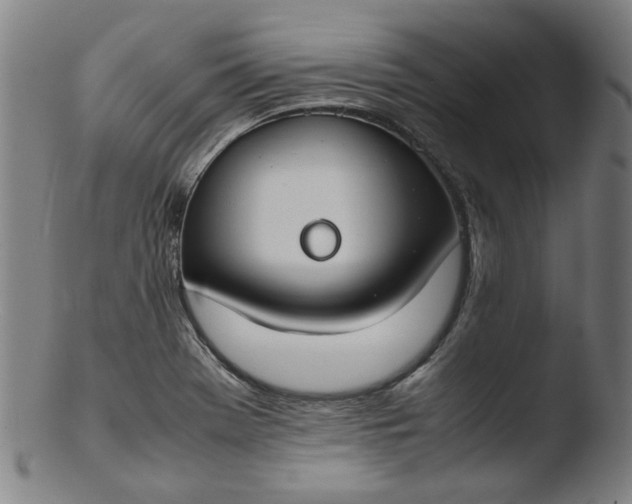 X0000103431369200809261720