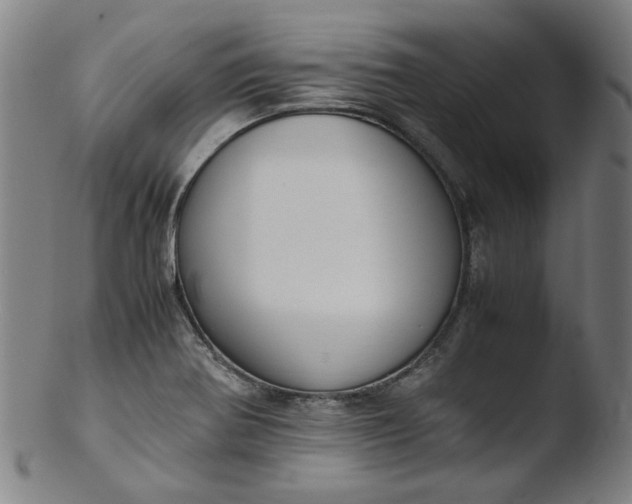 X0000103431370200809261720