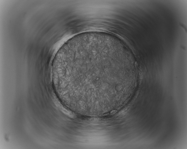 X0000103431371200809261720