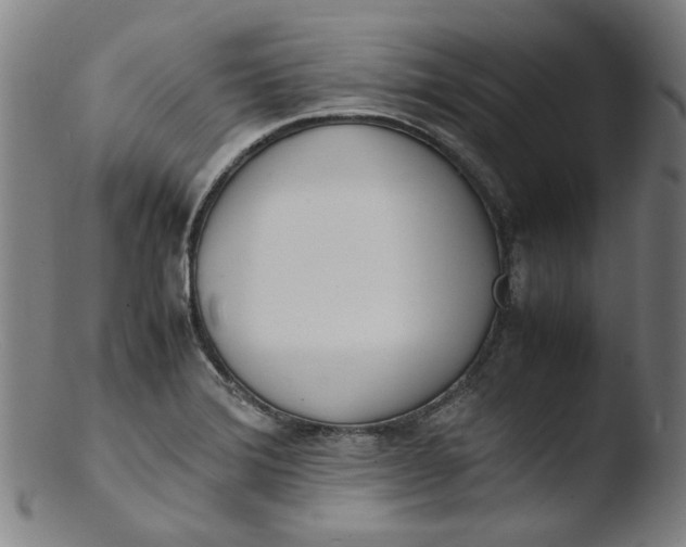 X0000103431372200809261720