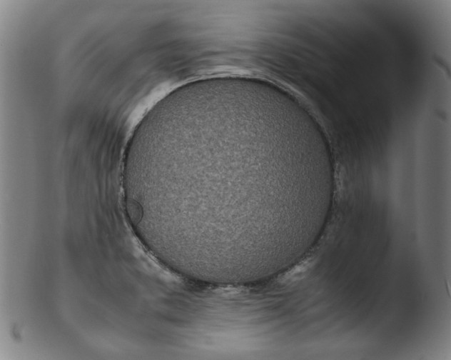 X0000103431373200809261720