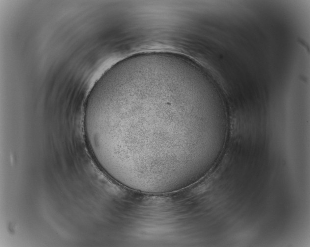 X0000103431374200809261720