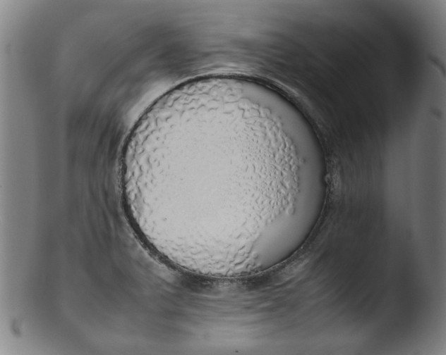 X0000103431375200809261720