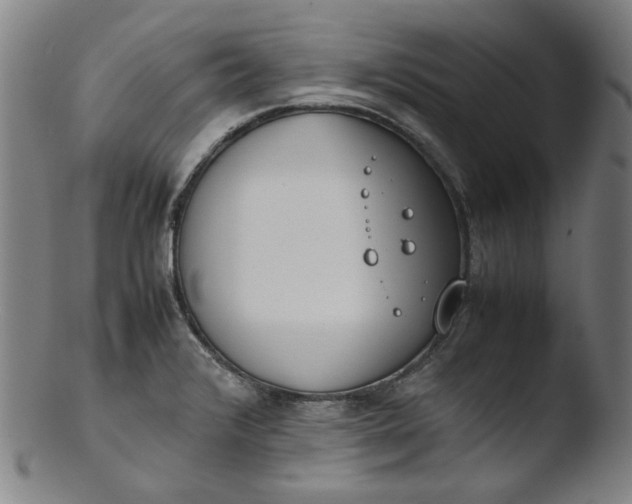 X0000103431376200809261720