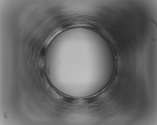 X0000103431377200809261720