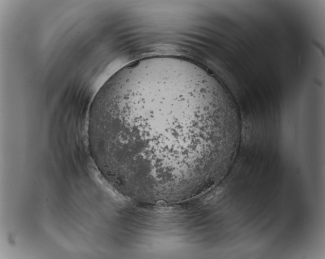 X0000103431378200809261720