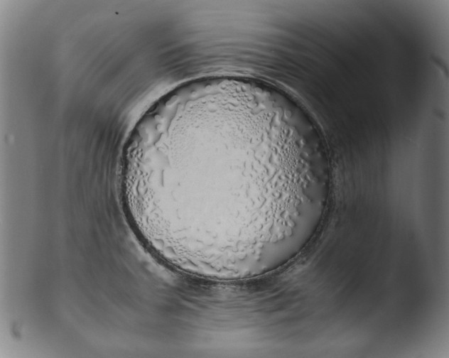 X0000103431379200809261720