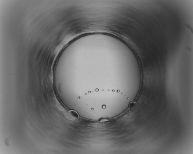 X0000103431380200809261720