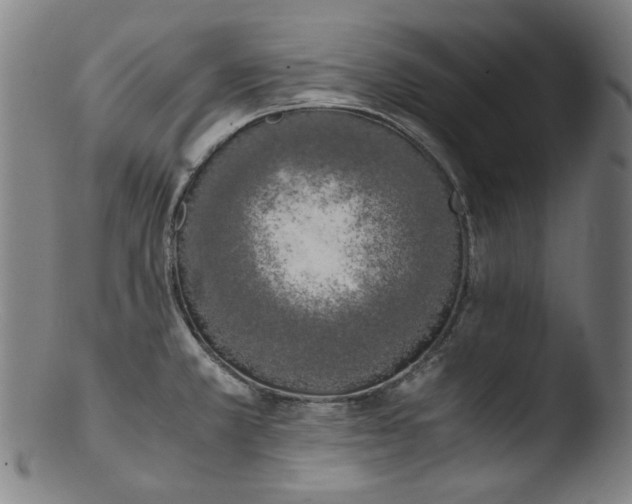 X0000103431381200809261720