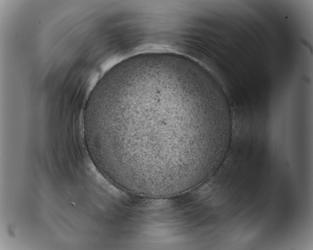 X0000103431382200809261720