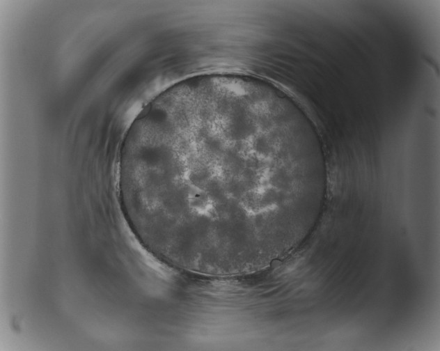 X0000103431383200809261720