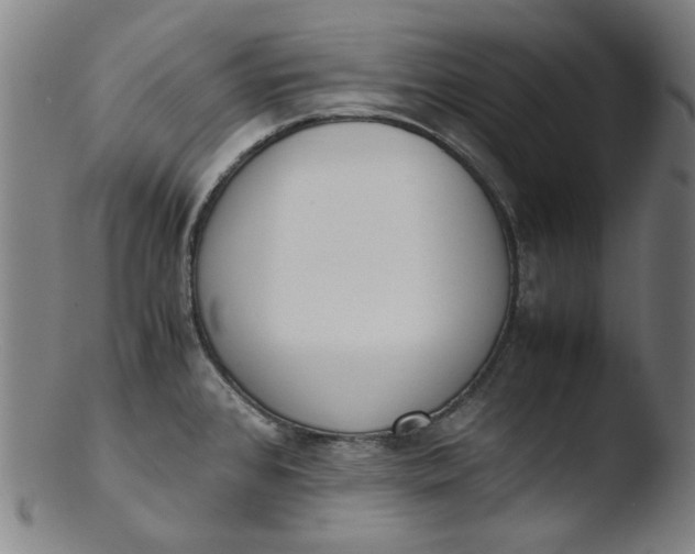 X0000103431384200809261720