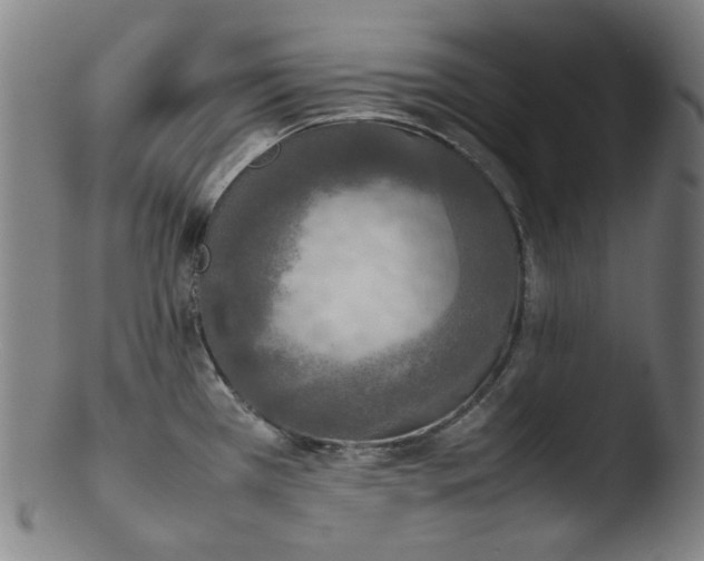 X0000103431385200809261720