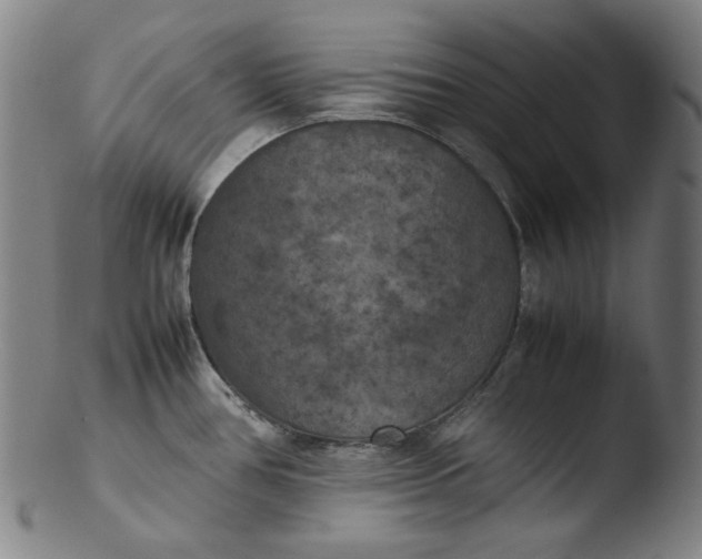 X0000103431386200809261720