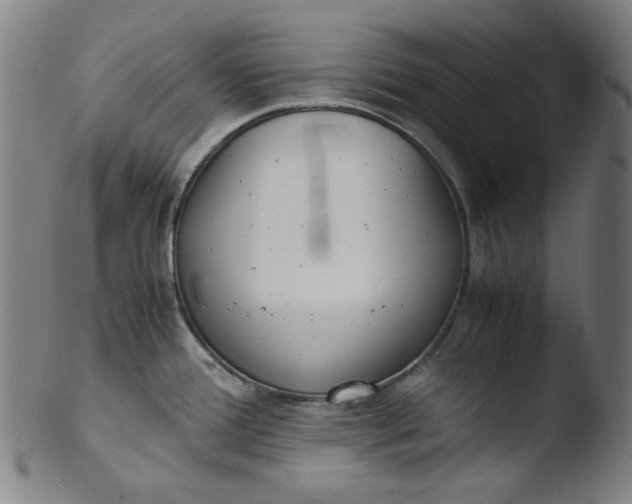 X0000103431388200809261720