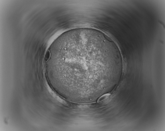 X0000103431389200809261720