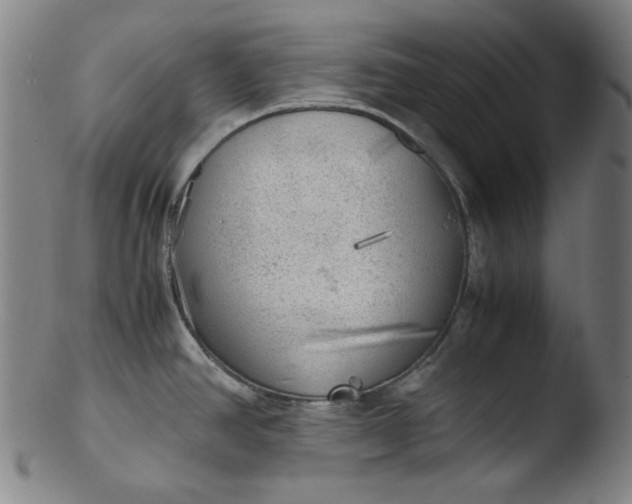 X0000103431390200809261720