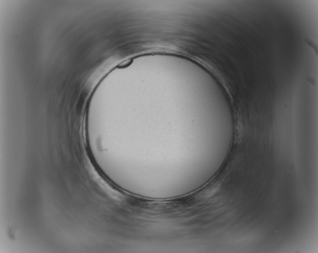 X0000103431391200809261720