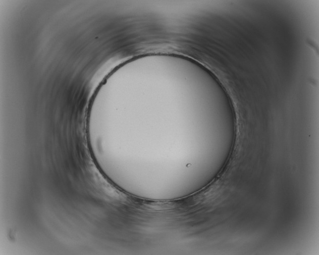 X0000103431392200809261720