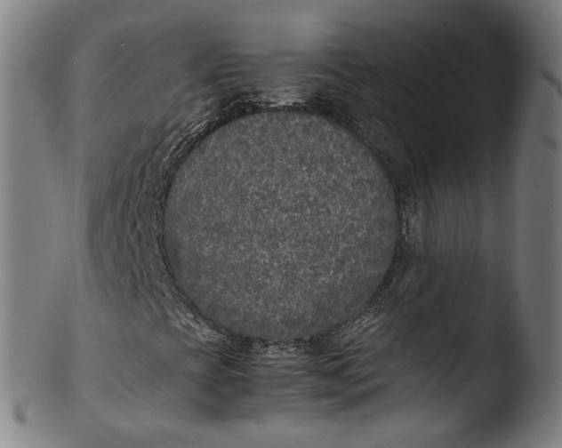 X0000103431393200809261719