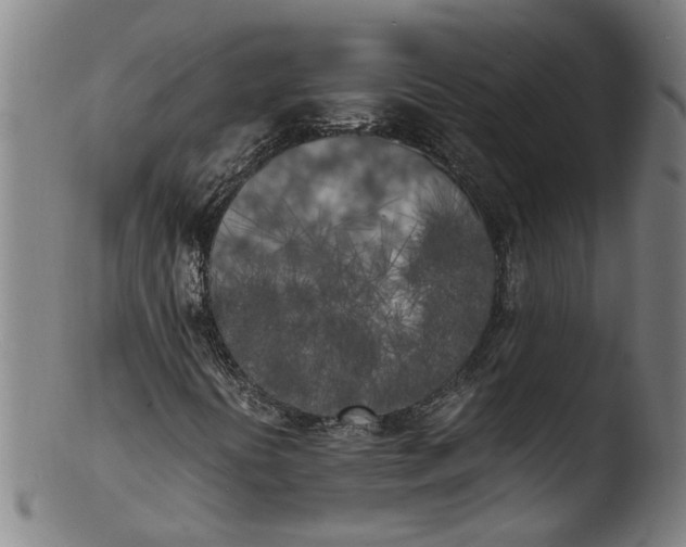 X0000103431394200809261719