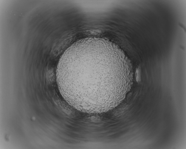 X0000103431395200809261719