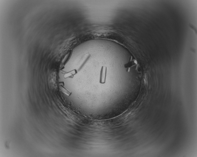 X0000103431396200809261719