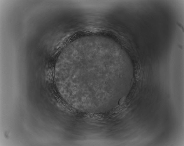 X0000103431397200809261719