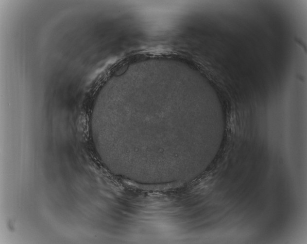 X0000103431398200809261719