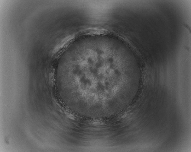 X0000103431399200809261719