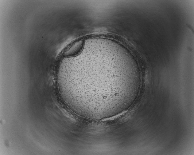 X0000103431400200809261719