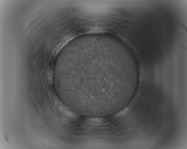 X0000103431401200809261719