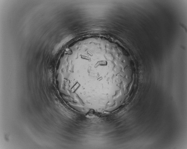 X0000103431402200809261719