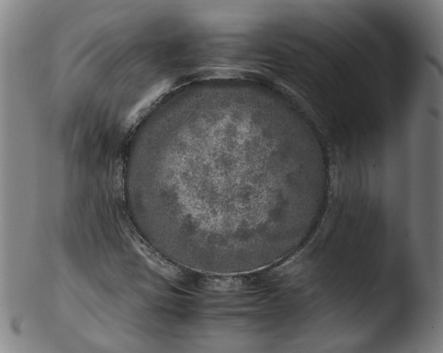 X0000103431403200809261719