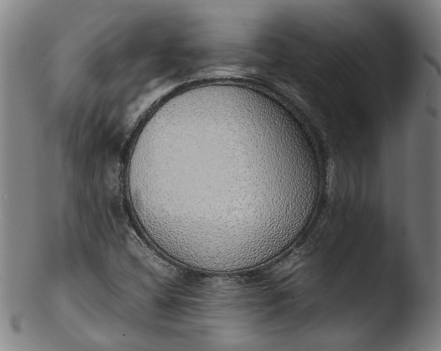 X0000103431404200809261719