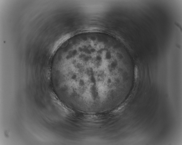 X0000103431405200809261719