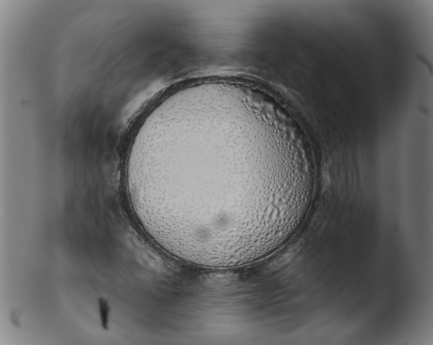 X0000103431406200809261719