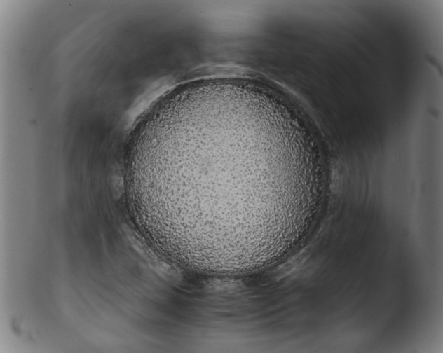 X0000103431407200809261720