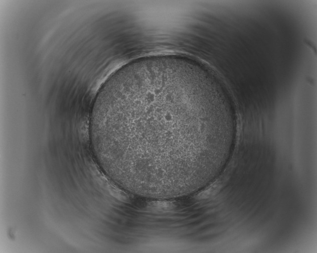 X0000103431409200809261720