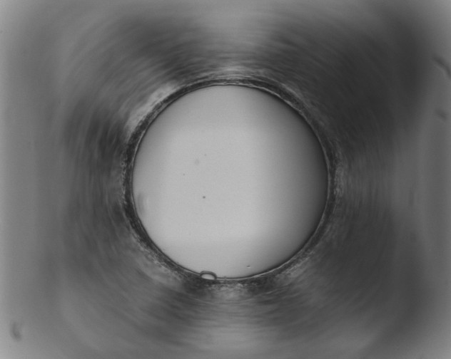 X0000103431410200809261720