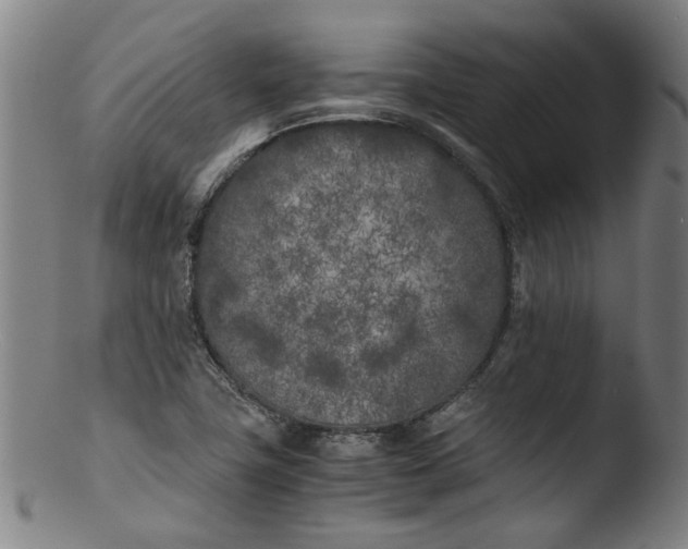 X0000103431411200809261720