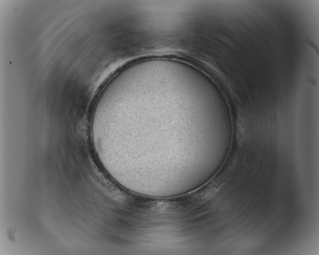 X0000103431412200809261720